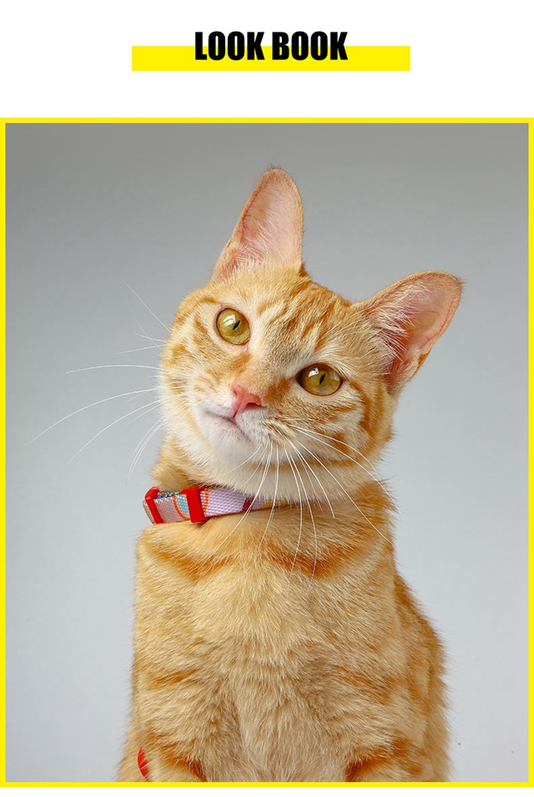 luxury cat collar06.jpg